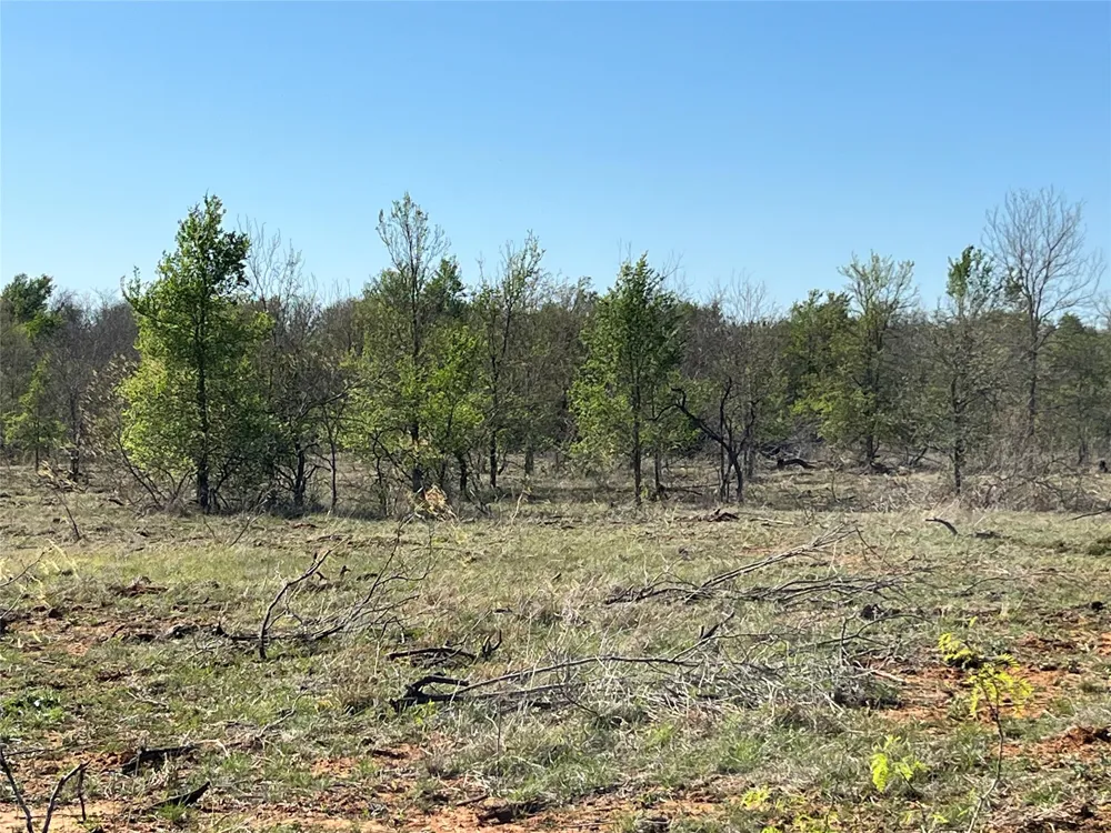 FM 619 Thrall, TX 76578