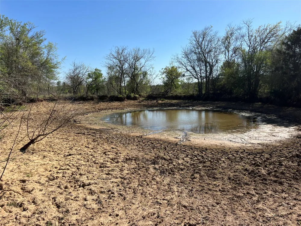 FM 619 Thrall, TX 76578