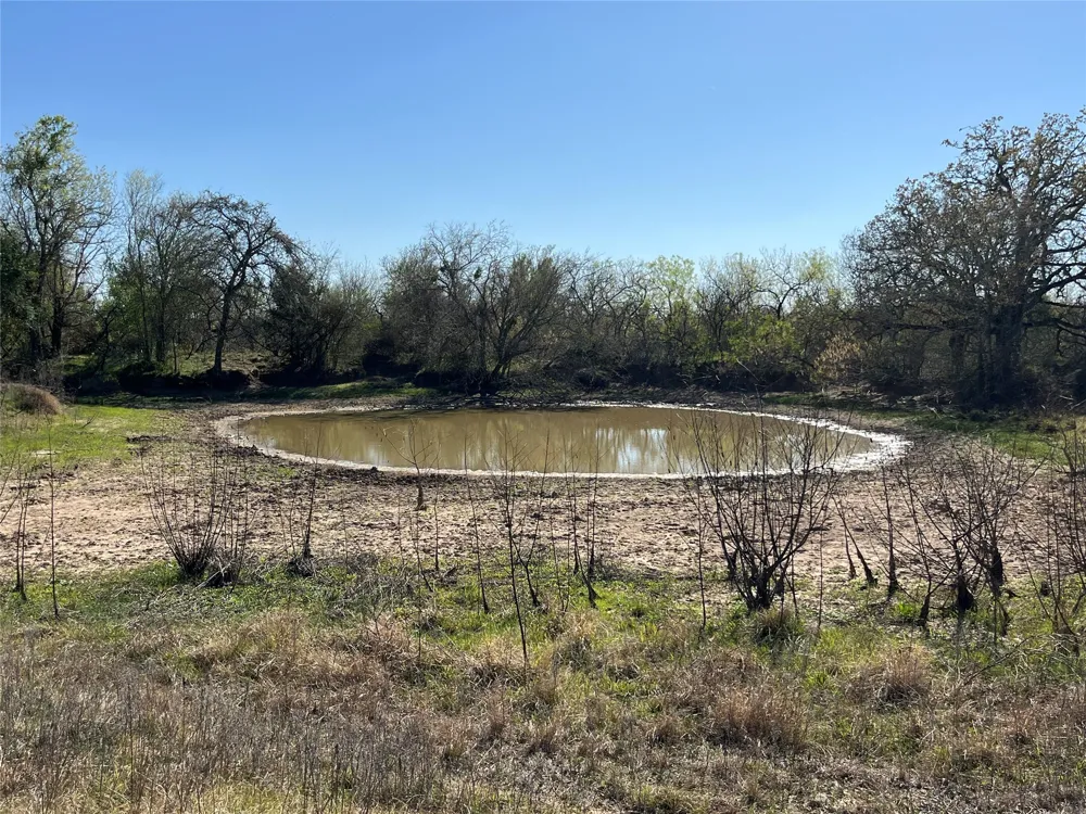 FM 619 Thrall, TX 76578