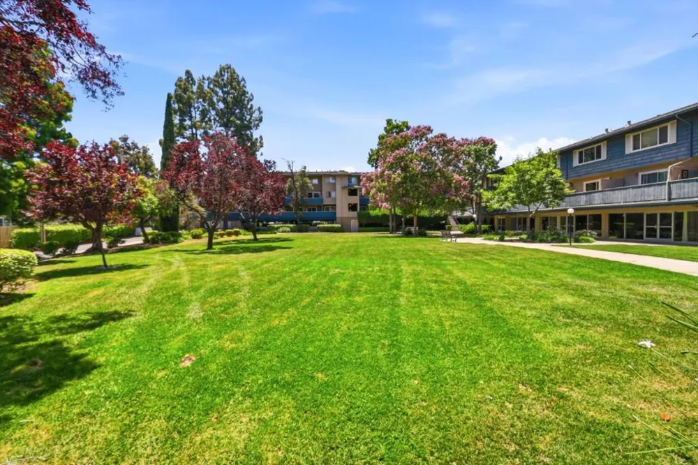 7150 Rainbow Drive #3 San Jose, CA 95129