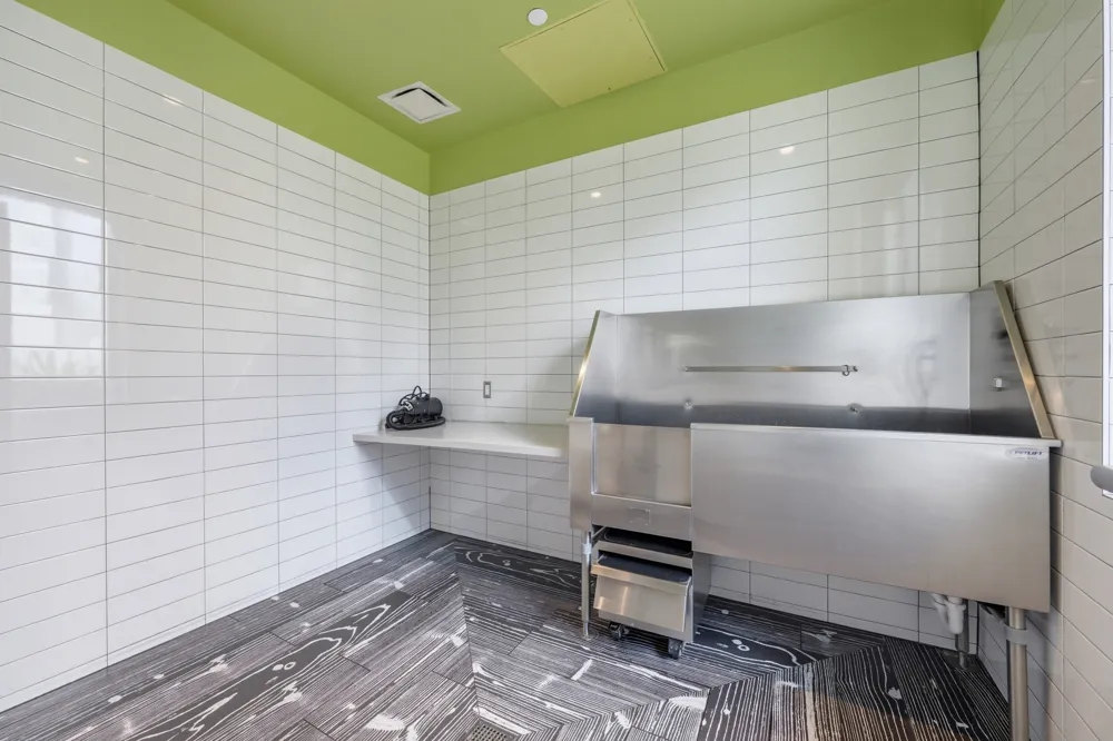222 West Avenue #2507 Austin, TX 78701