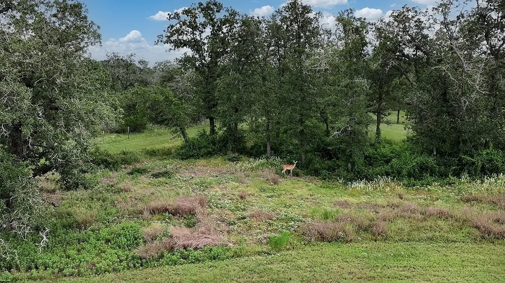 2625 Burke Road Flatonia, TX 78941