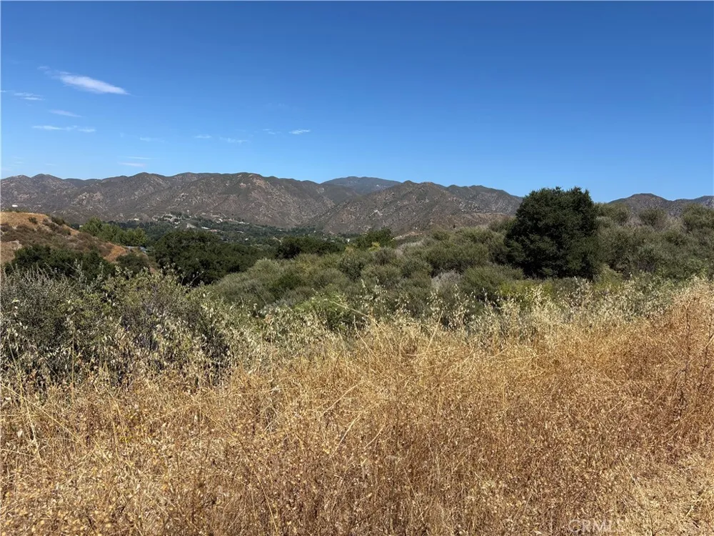 Pineview Canyon Country, CA 91387