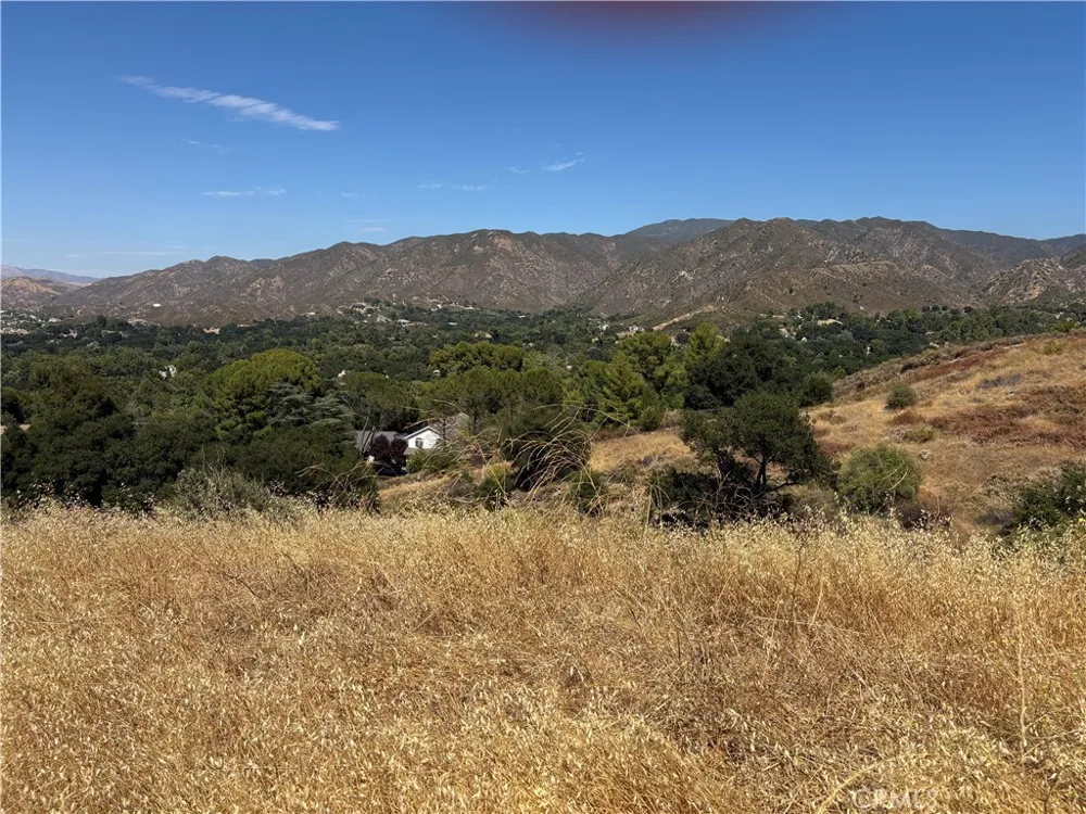 Pineview Canyon Country, CA 91387