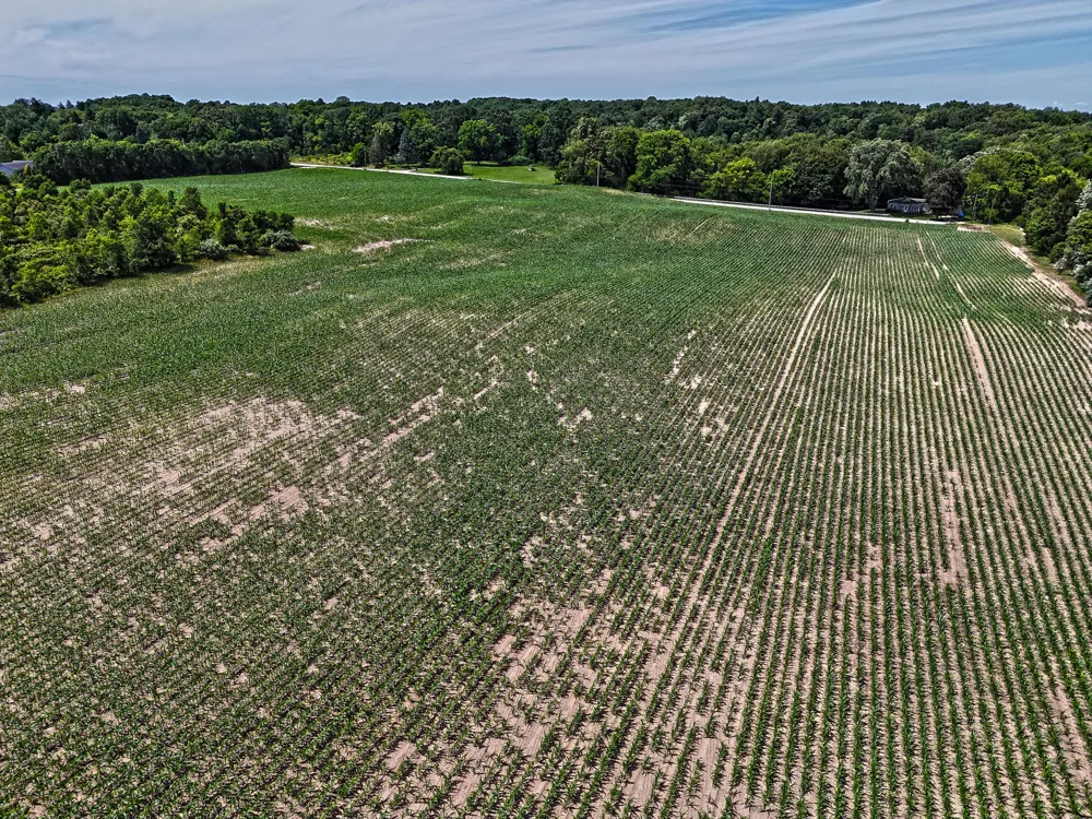 Territorial Road Benton Harbor, MI 49022
