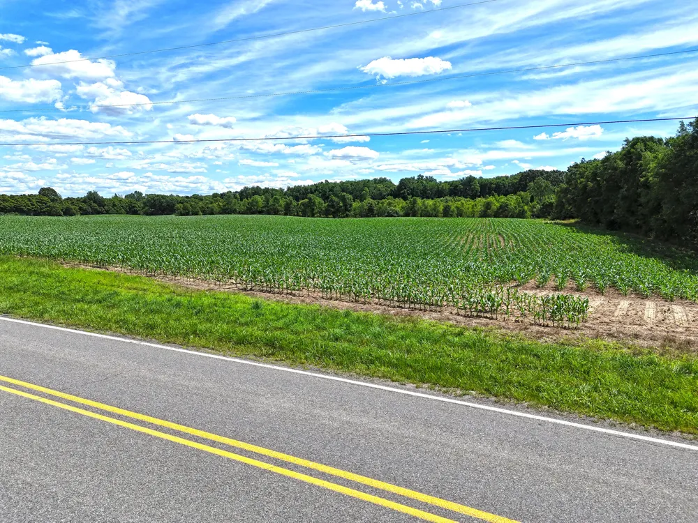 1259 Territorial Road Benton Harbor, MI 49022