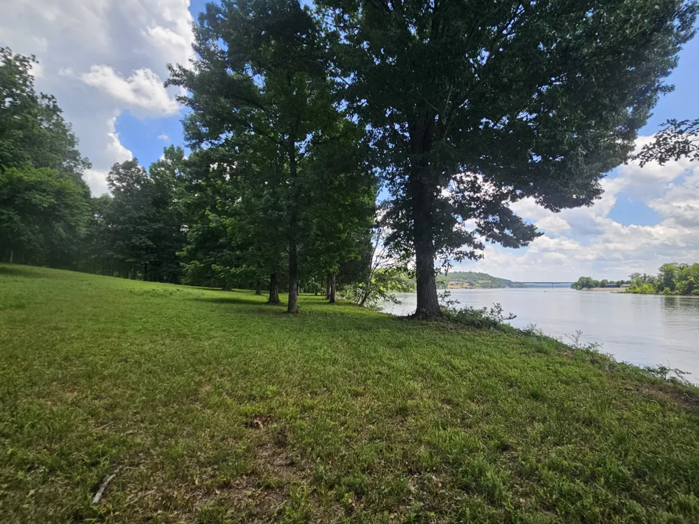 5 Island View Dr Bath Springs, TN 38311