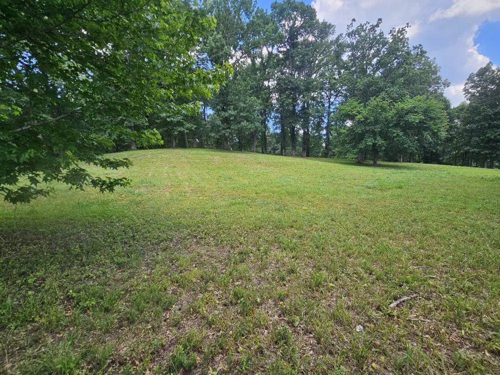 5 Island View Dr Bath Springs, TN 38311