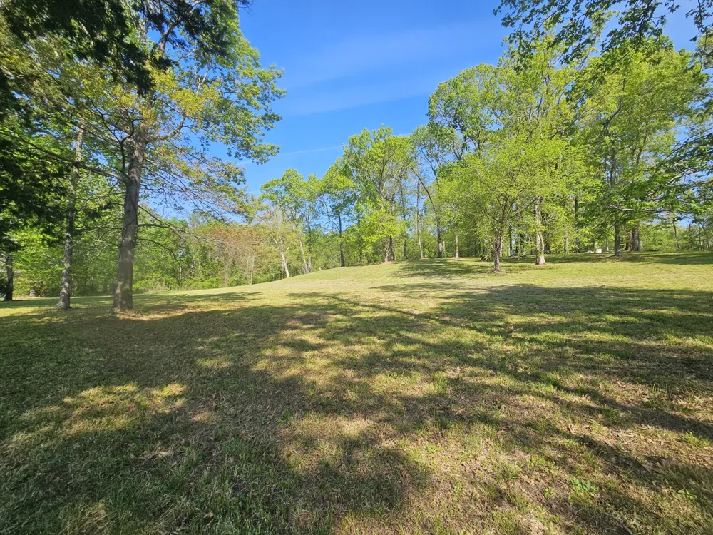 5 Island View Dr Bath Springs, TN 38311