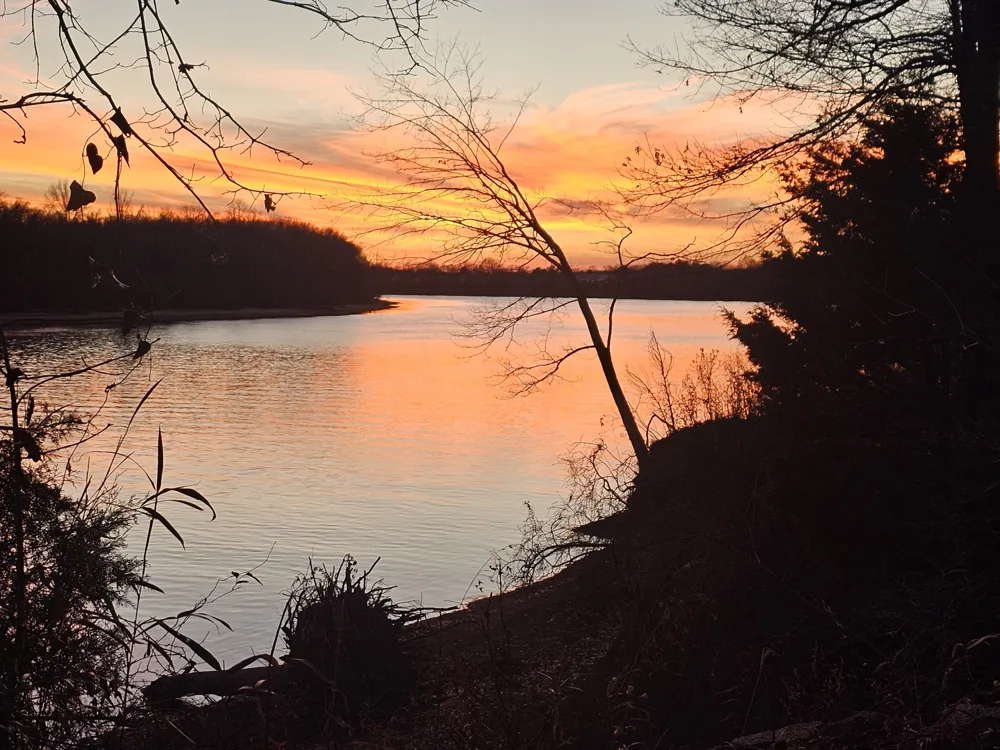 5 Island View Dr Bath Springs, TN 38311