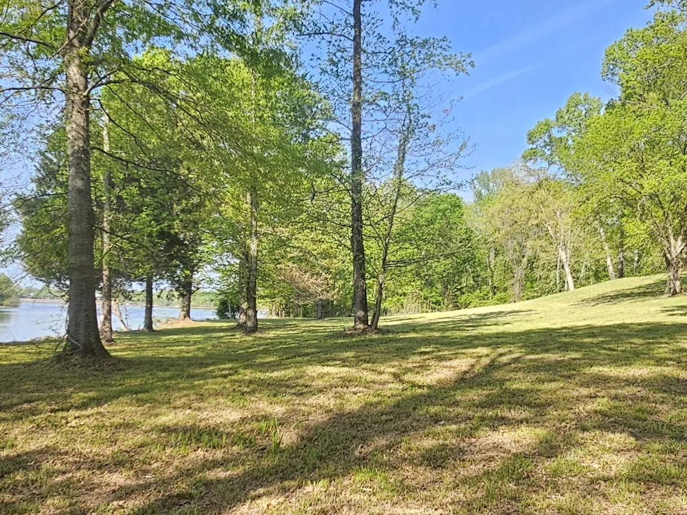 5 Island View Dr Bath Springs, TN 38311