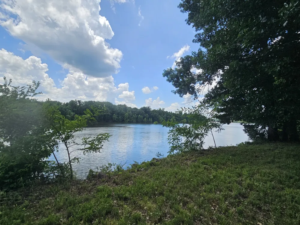 5 Island View Dr Bath Springs, TN 38311