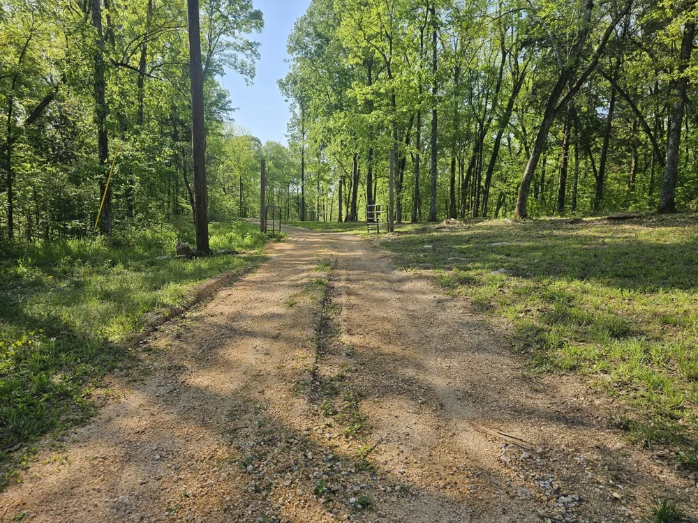 5 Island View Dr Bath Springs, TN 38311