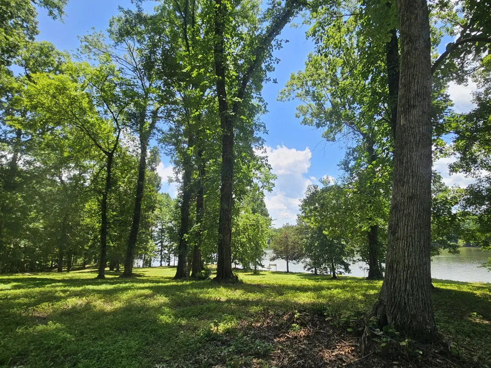 5 Island View Dr Bath Springs, TN 38311