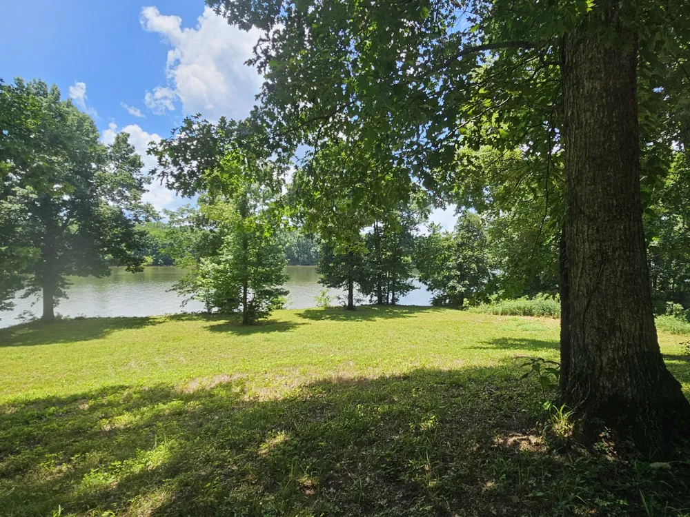5 Island View Dr Bath Springs, TN 38311