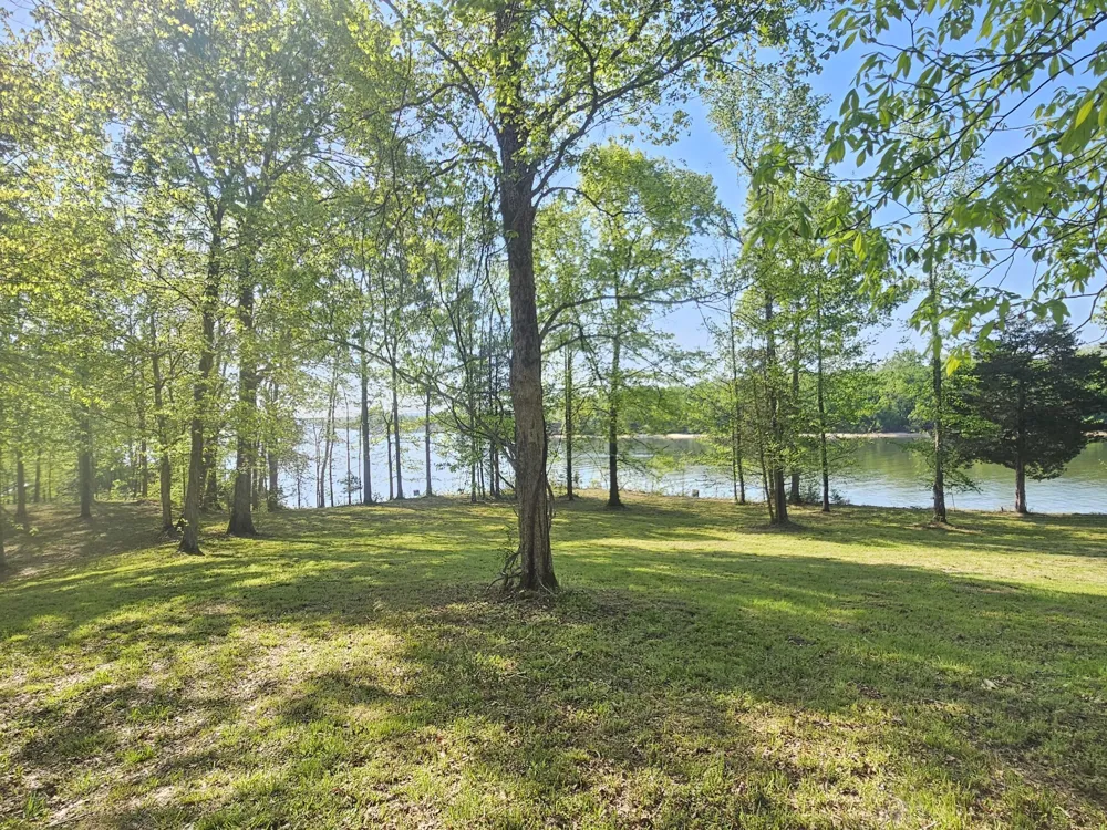 5 Island View Dr Bath Springs, TN 38311