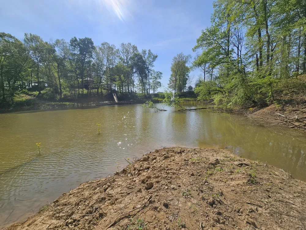 5 Island View Dr Bath Springs, TN 38311