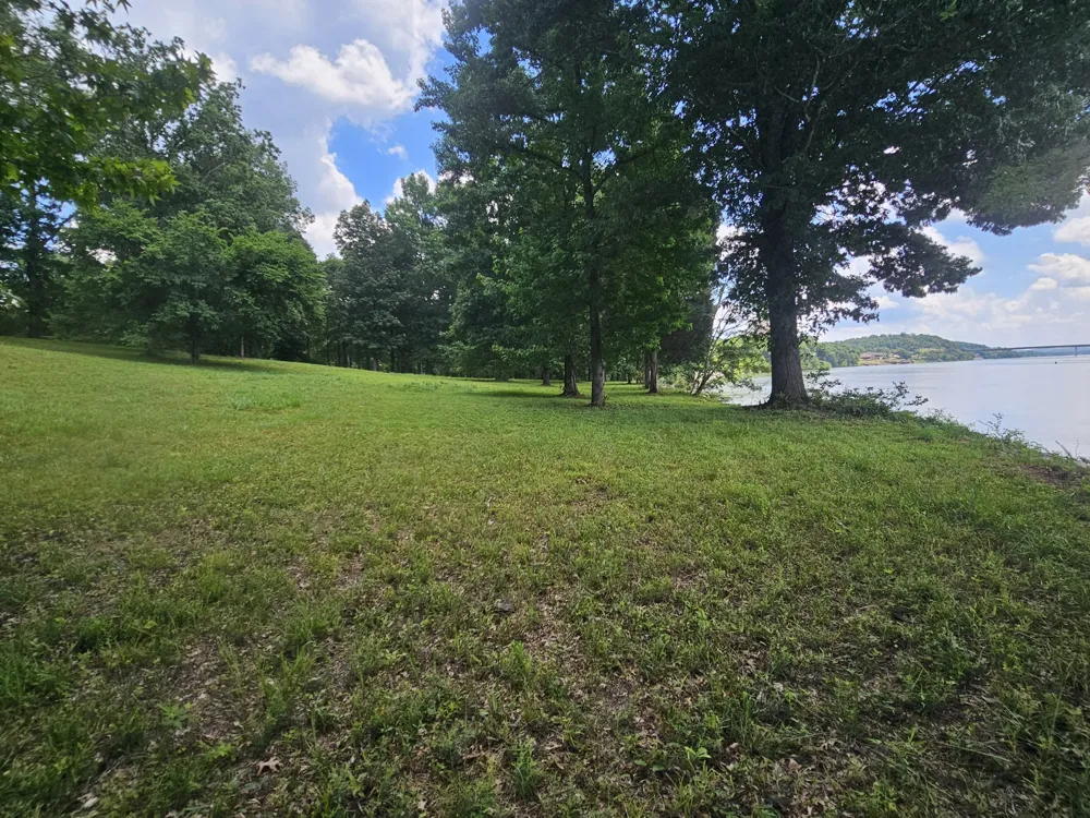 5 Island View Dr Bath Springs, TN 38311