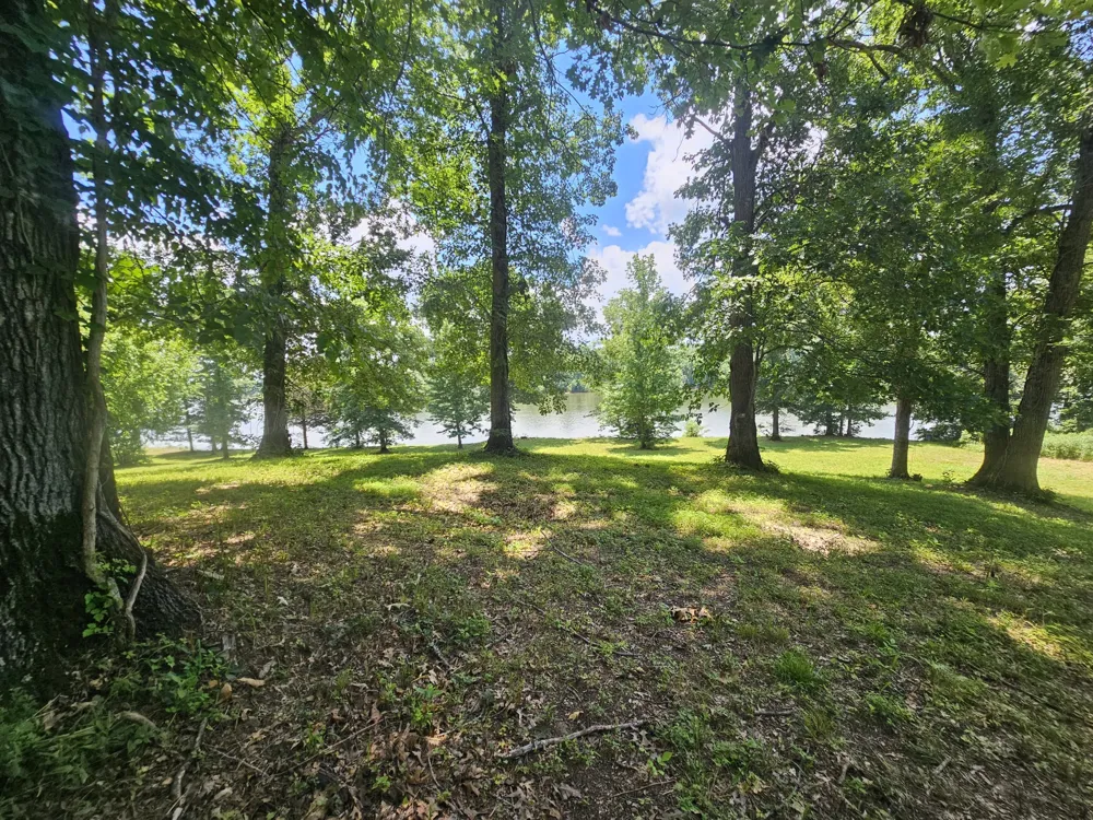 5 Island View Dr Bath Springs, TN 38311