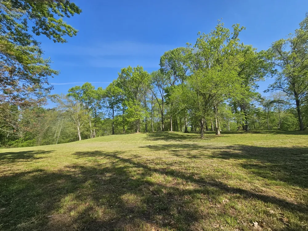5 Island View Dr Bath Springs, TN 38311