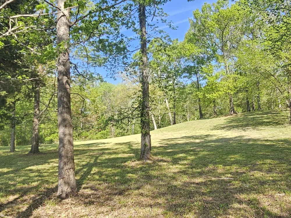 5 Island View Dr Bath Springs, TN 38311