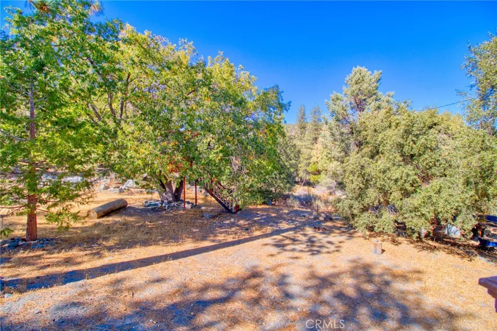 1604 Blackbird Wrightwood, CA 92397