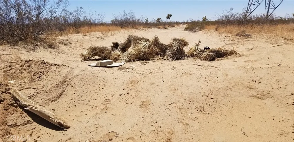 Brockman Adelanto, CA 92301
