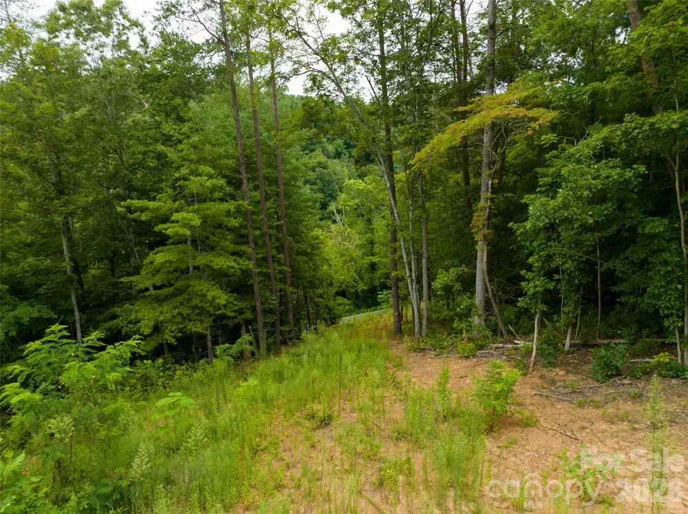 128 Riverbend Forest Drive #24 Asheville, NC 28805