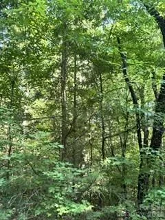 TBA Ricks Road Sharon, SC 29742