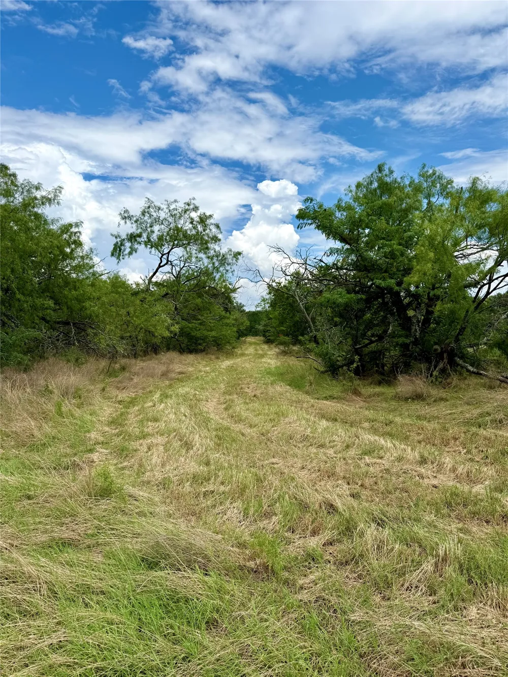 168 SH-14 Wortham, TX 76681