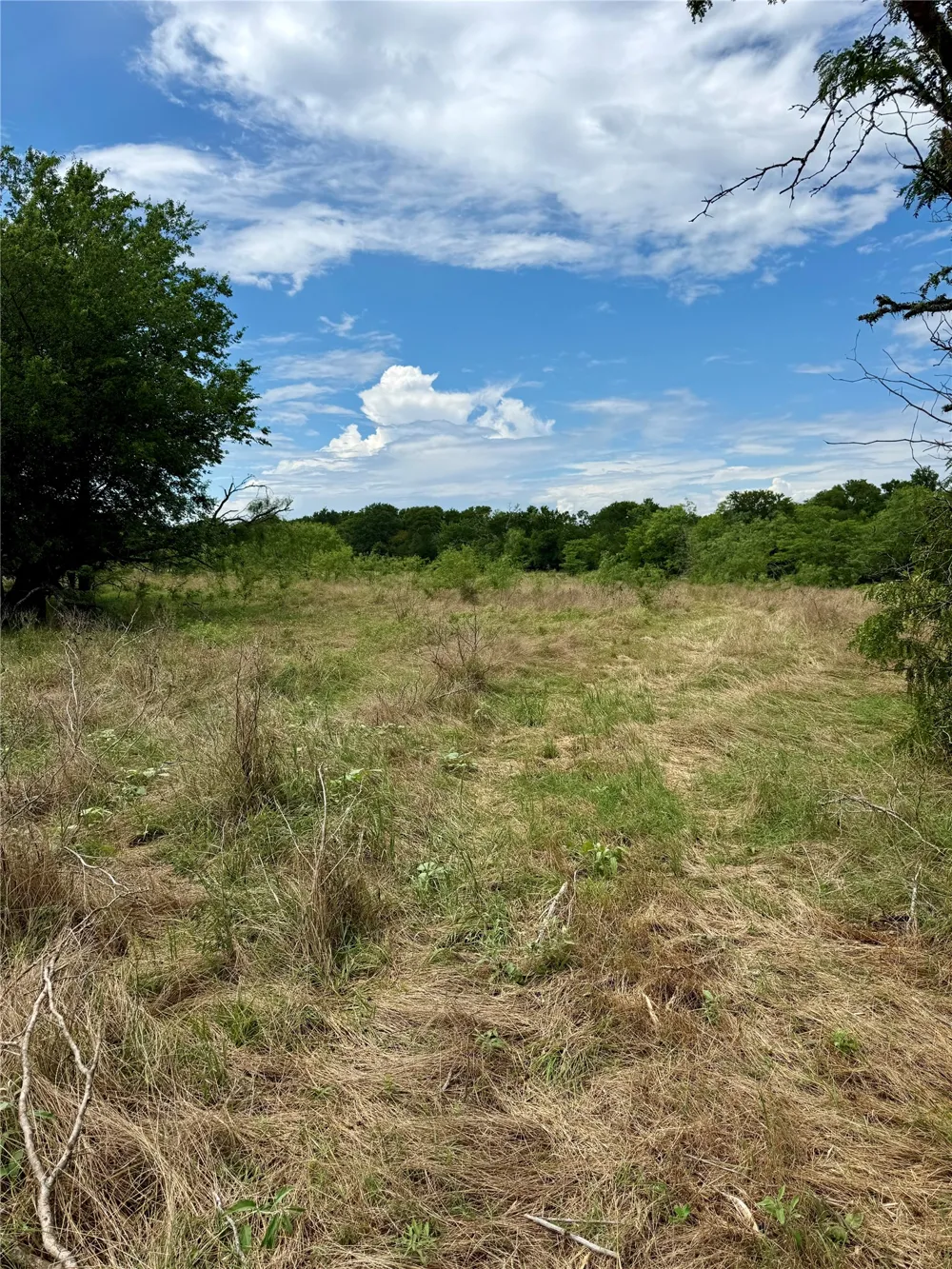 168 SH-14 Wortham, TX 76681