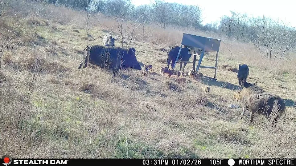 168 SH-14 Wortham, TX 76681