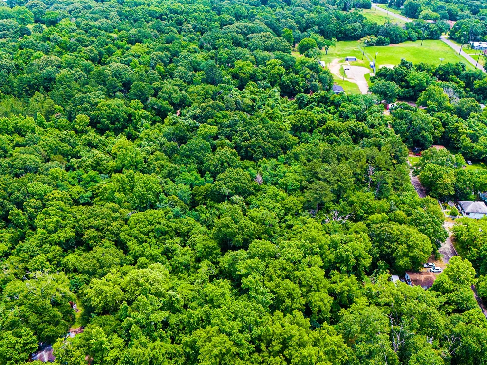 Calhoun Street Palestine, TX 75801