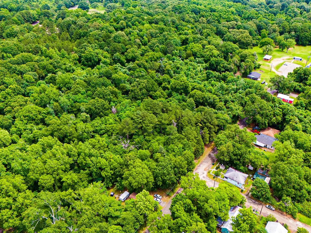 Calhoun Street Palestine, TX 75801