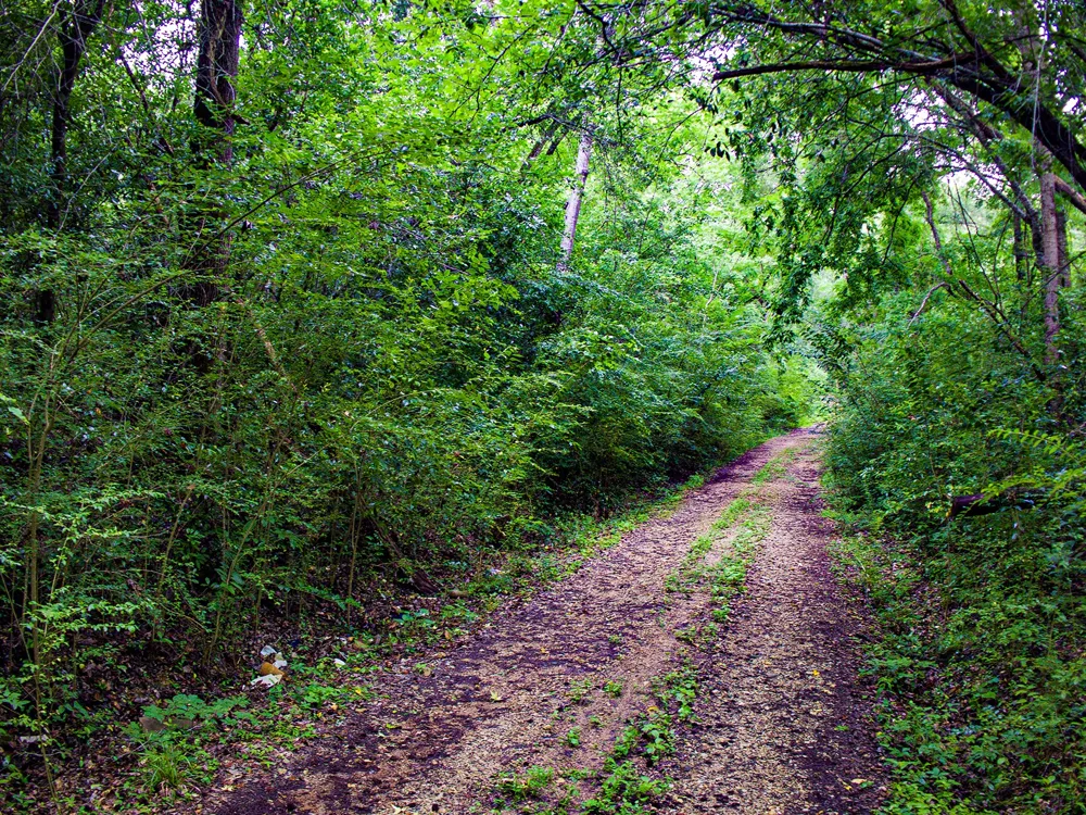 Calhoun Street Palestine, TX 75801
