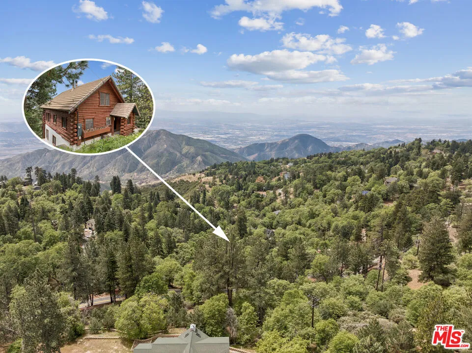 4 Winding Way Running Springs, CA 92382