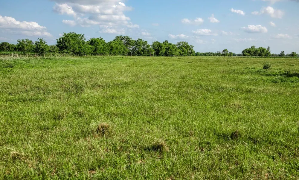 1923 Beasley West End Beasley, TX 77417