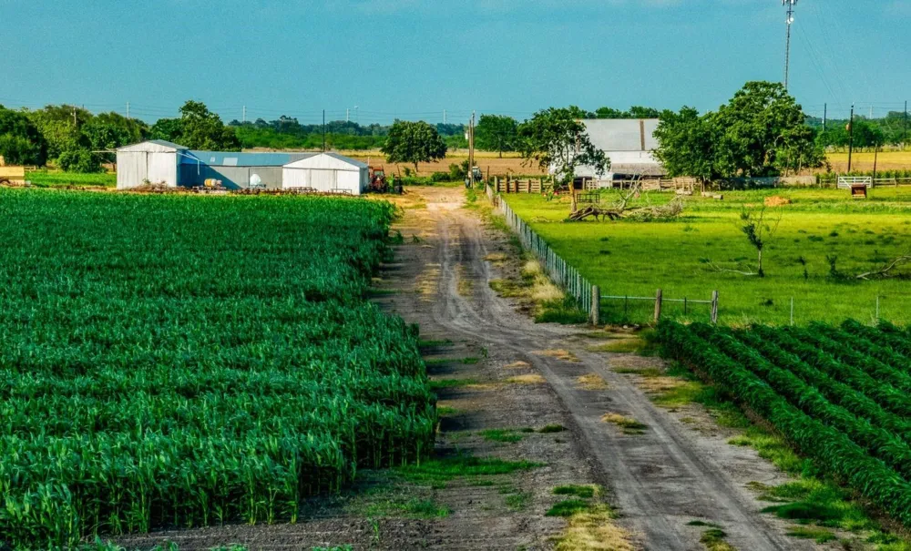 1923 Beasley West End Beasley, TX 77417