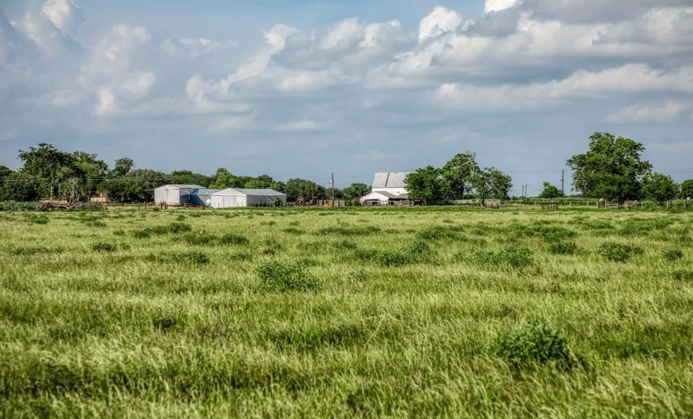 1923 Beasley West End Beasley, TX 77417