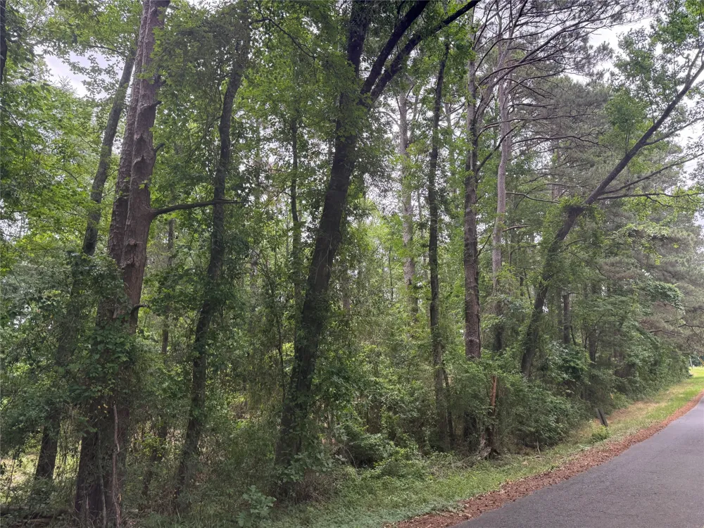 Diamond T Road Heflin, LA 71039