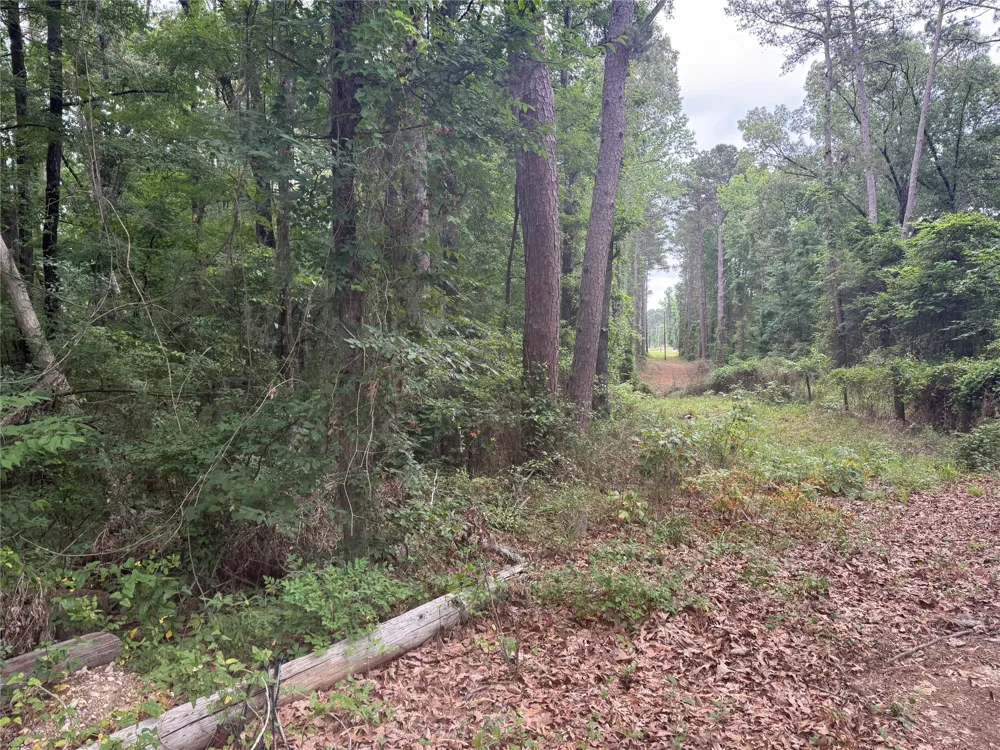Diamond T Road Heflin, LA 71039