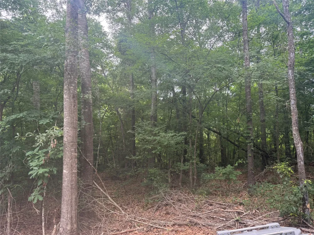 Diamond T Road Heflin, LA 71039