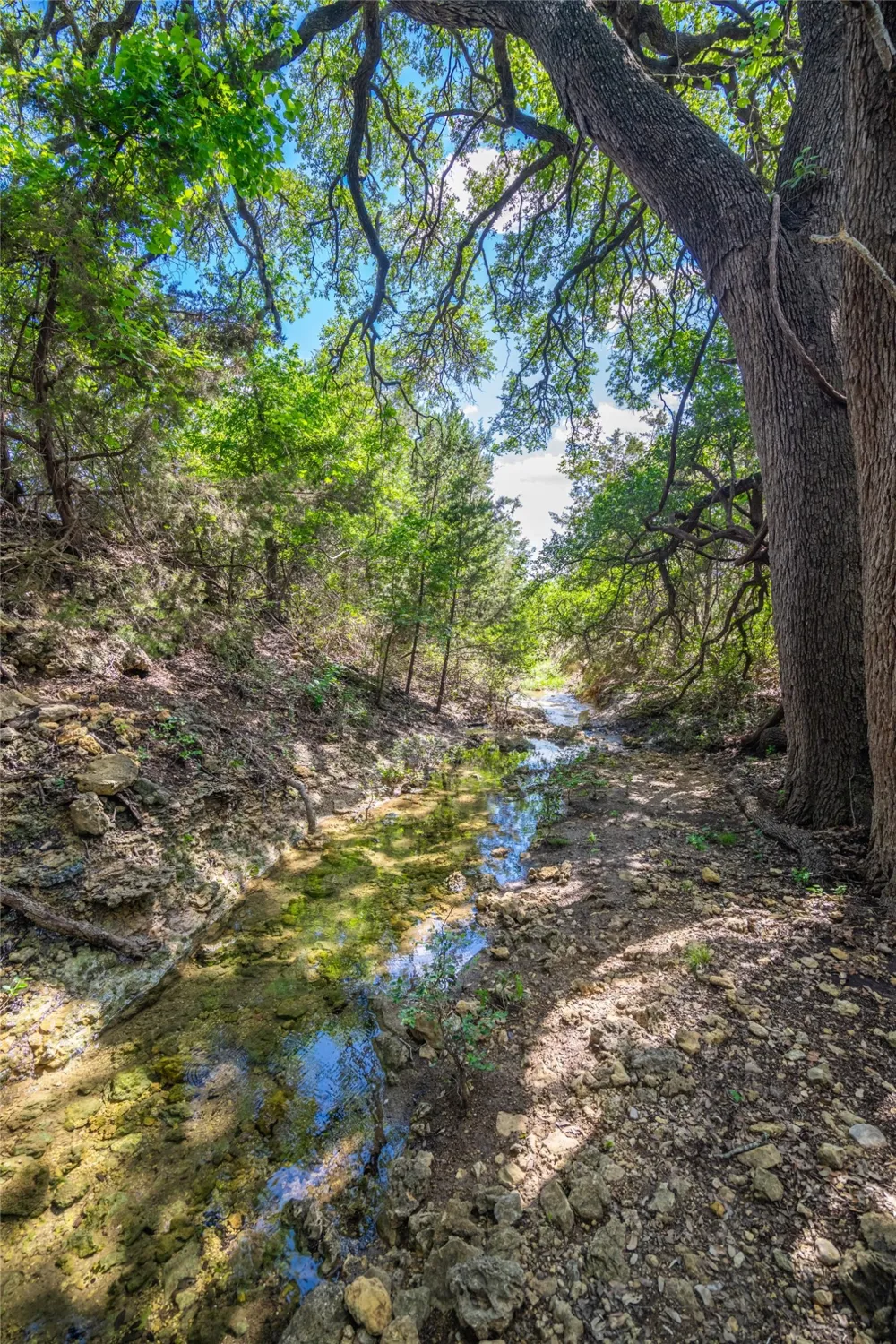 9750 Fm-243 Bertram, TX 78605