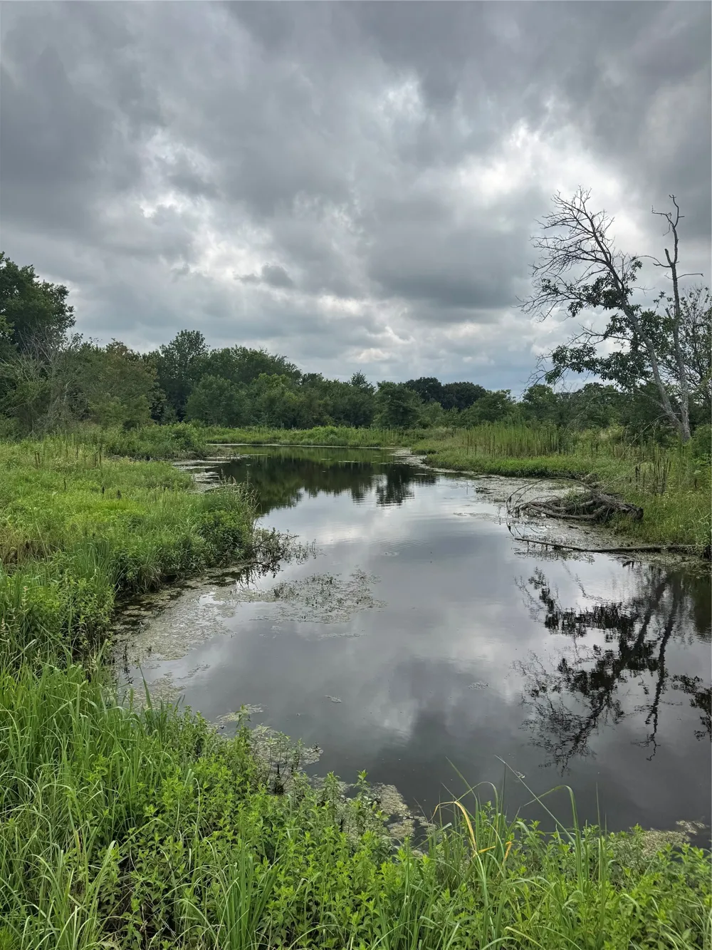 2257 County Road 280 Kaufman, TX 75142