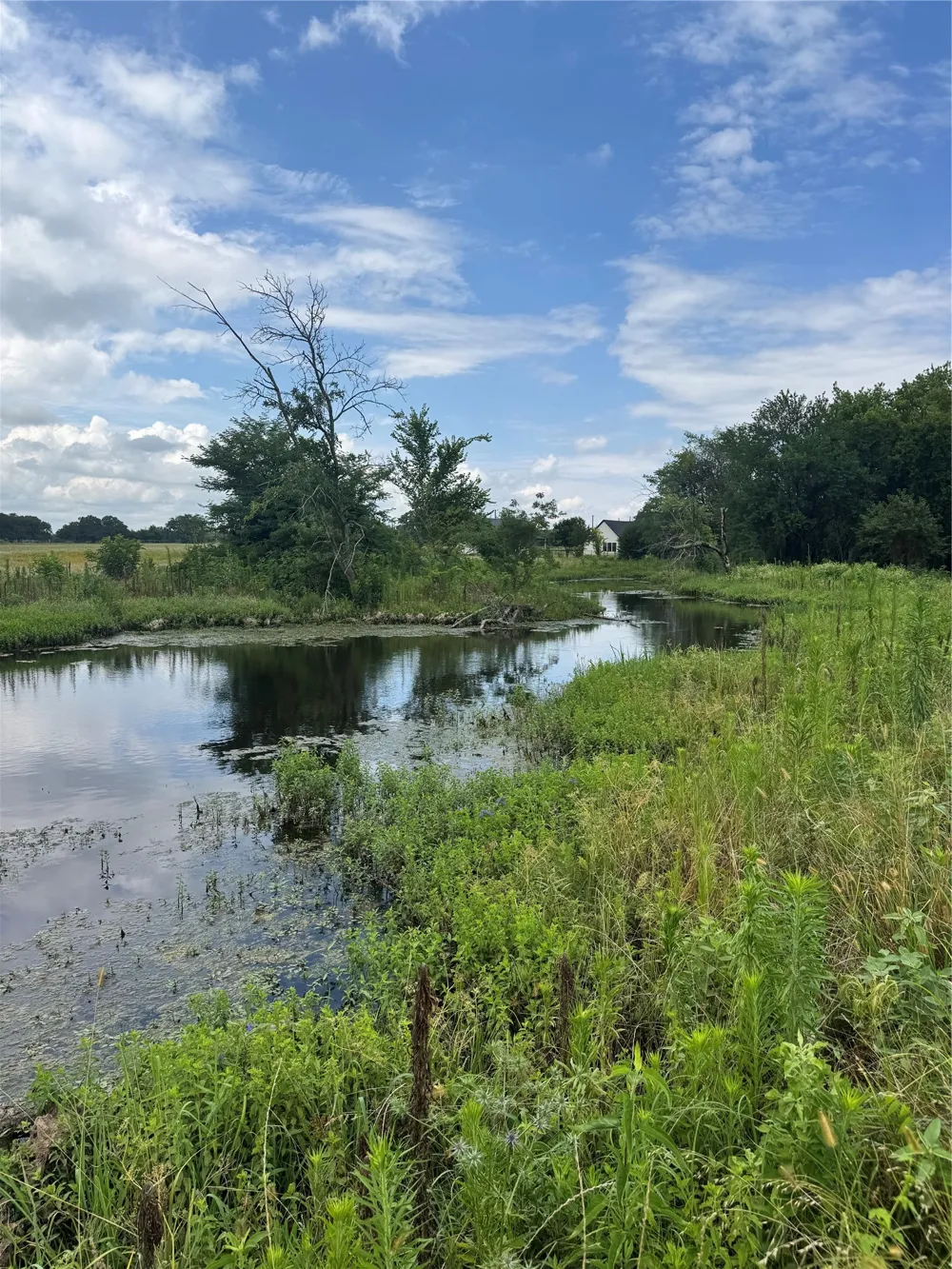 2257 County Road 280 Kaufman, TX 75142