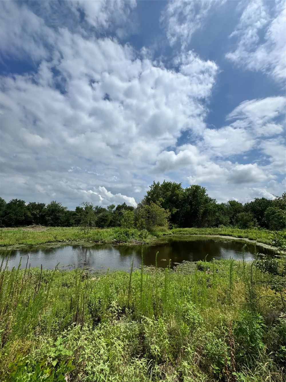 2257 County Road 280 Kaufman, TX 75142