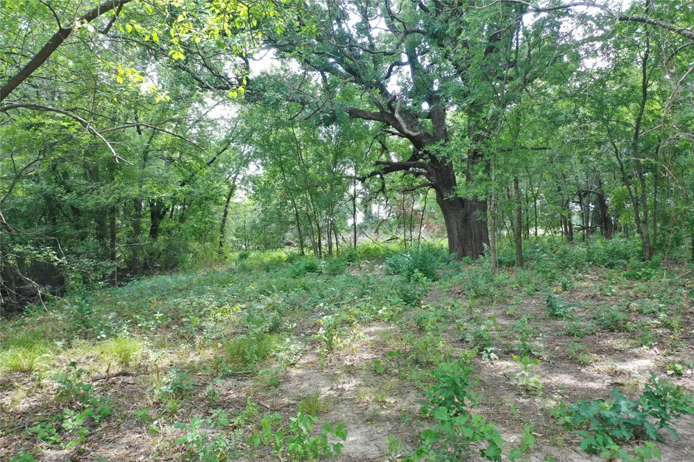 2257 County Road 280 Kaufman, TX 75142