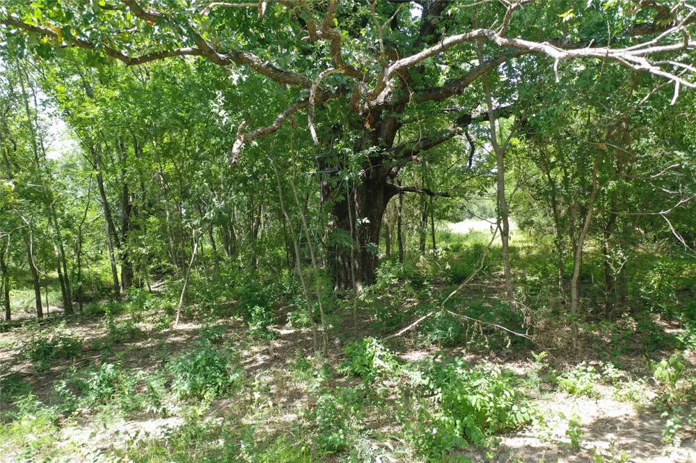 2257 County Road 280 Kaufman, TX 75142