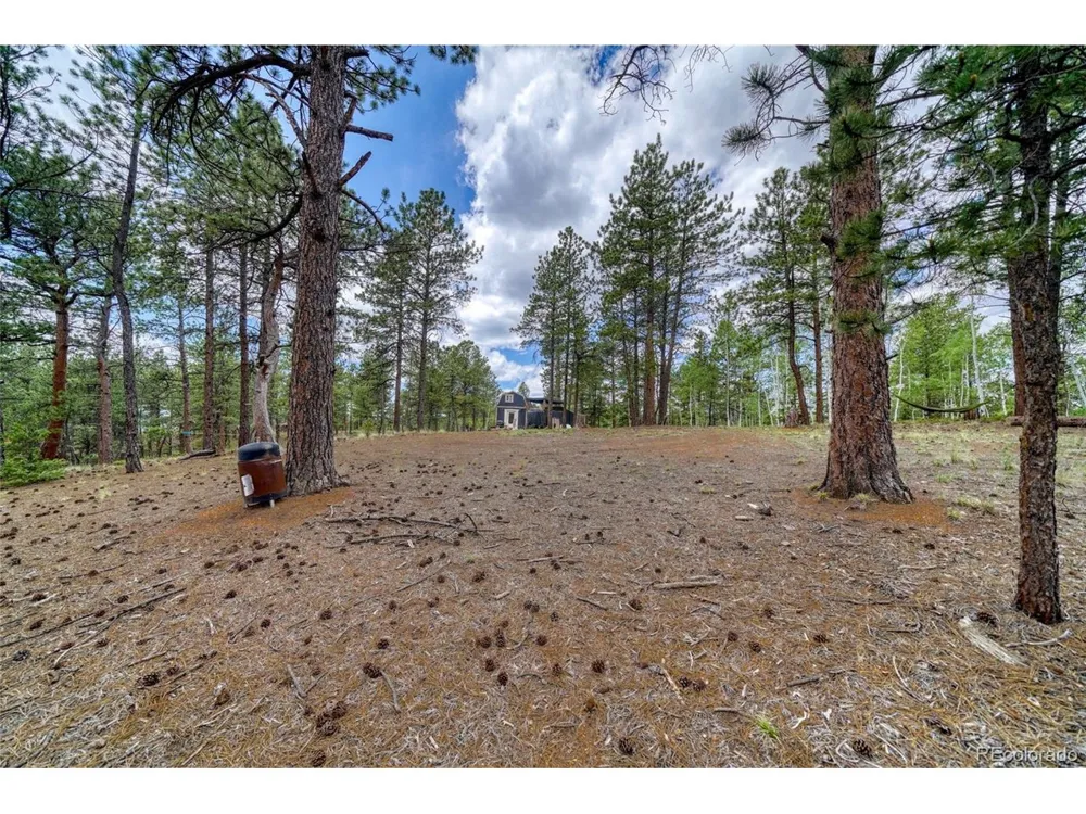 2927 Pathfinder Road Florissant, CO 80816