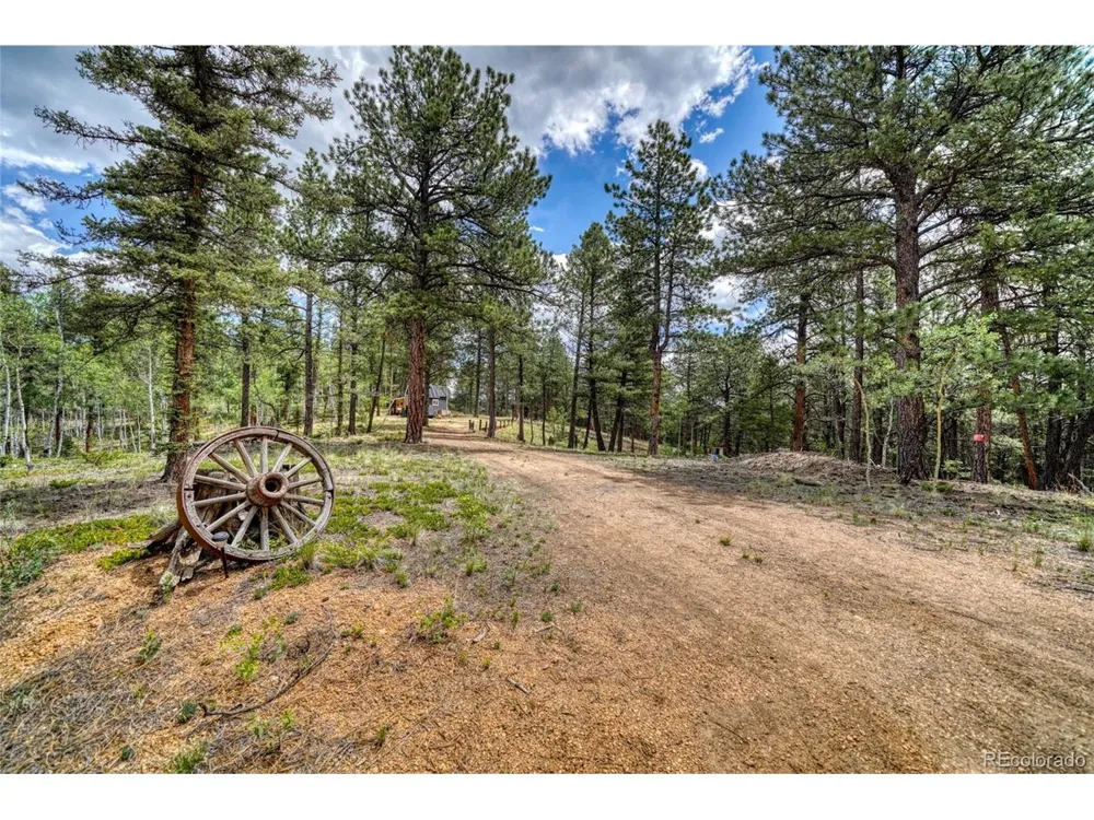 2927 Pathfinder Road Florissant, CO 80816